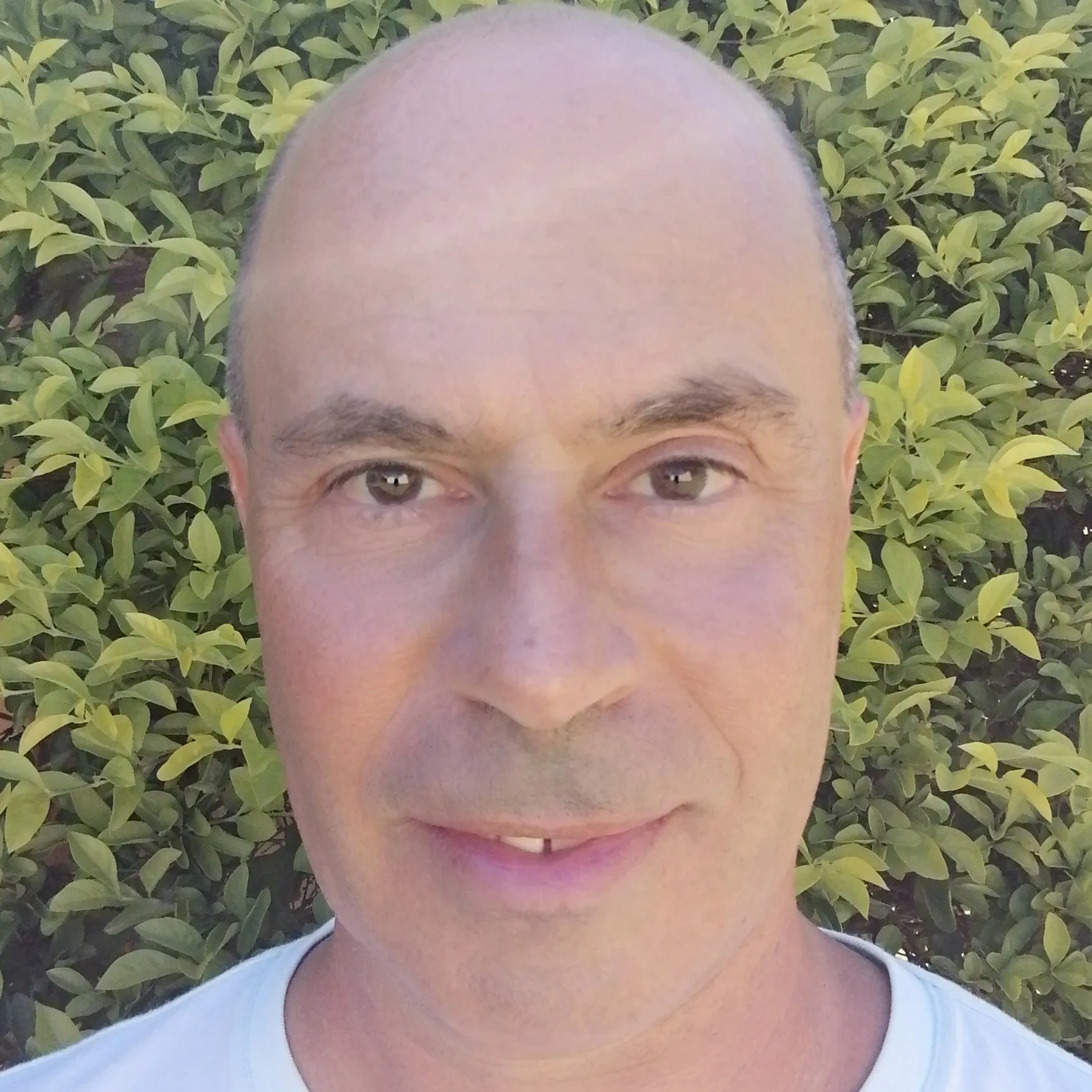 avatar ROLAND OCEAN